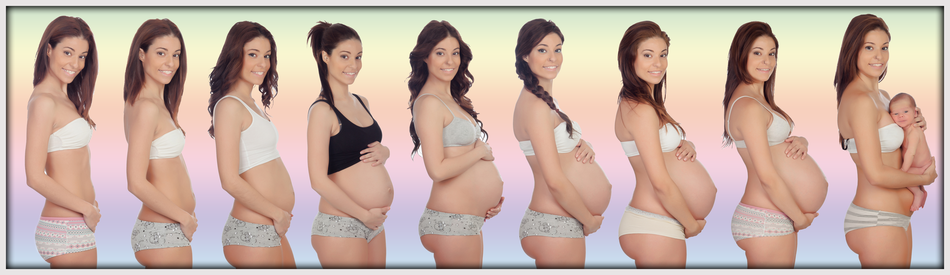 babybauch-2